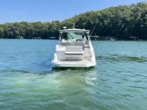 Thumbnail von Sea Ray 320 Sundancer