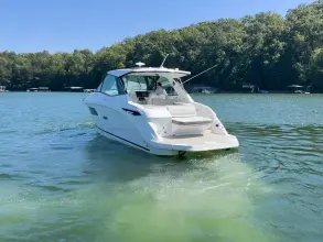 Thumbnail von Sea Ray 320 Sundancer