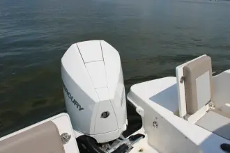 Thumbnail von Boston Whaler 210 Vantage