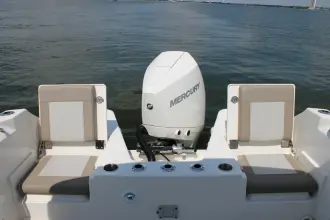 Thumbnail von Boston Whaler 210 Vantage