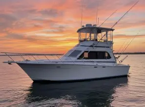 Egg Harbor 37 Convertible Monkey Business