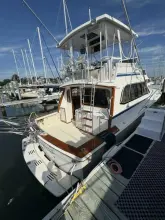 Thumbnail von Egg Harbor 37 Convertible Monkey Business