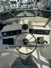 Thumbnail von Egg Harbor 37 Convertible Monkey Business