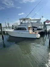 Thumbnail von Egg Harbor 37 Convertible Monkey Business