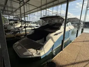 Thumbnail von Sea Ray 320 Sundancer