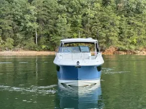 Thumbnail von Sea Ray 320 Sundancer