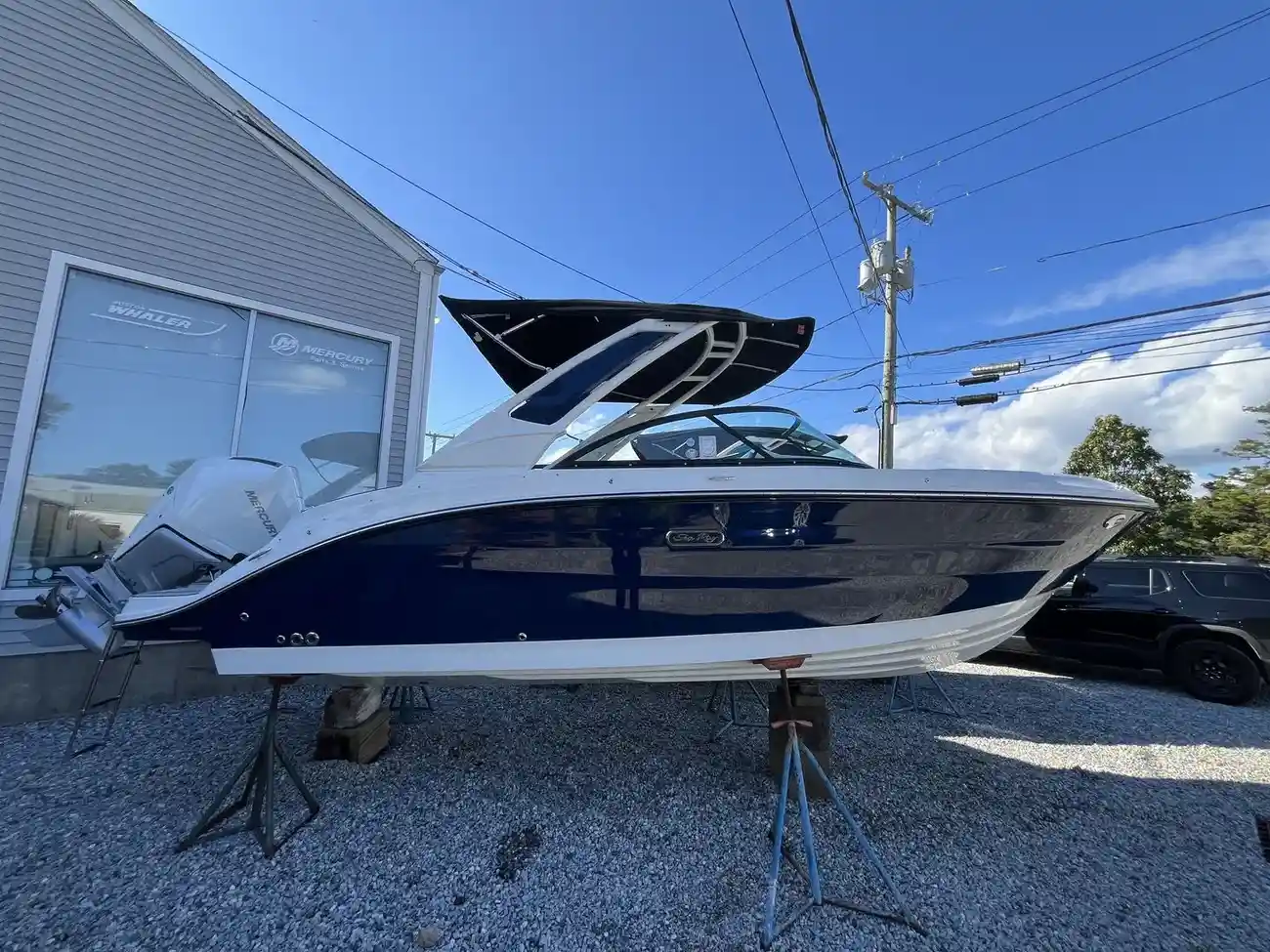 Sea Ray SDX 250 Fuoribordo