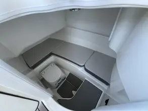 Thumbnail von Sea Ray SDX 250 Fuoribordo