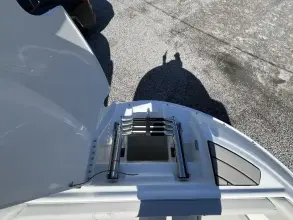 Thumbnail von Sea Ray SDX 250 Fuoribordo