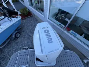 Thumbnail von Sea Ray SDX 250 Fuoribordo