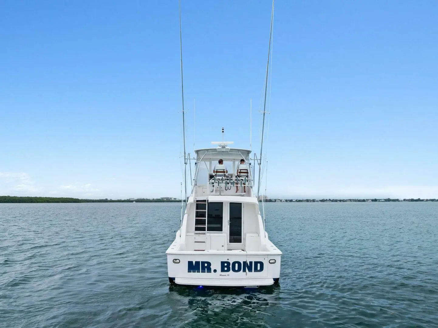 Thumbnail von Bertram 39 Convertible Mr. Bond