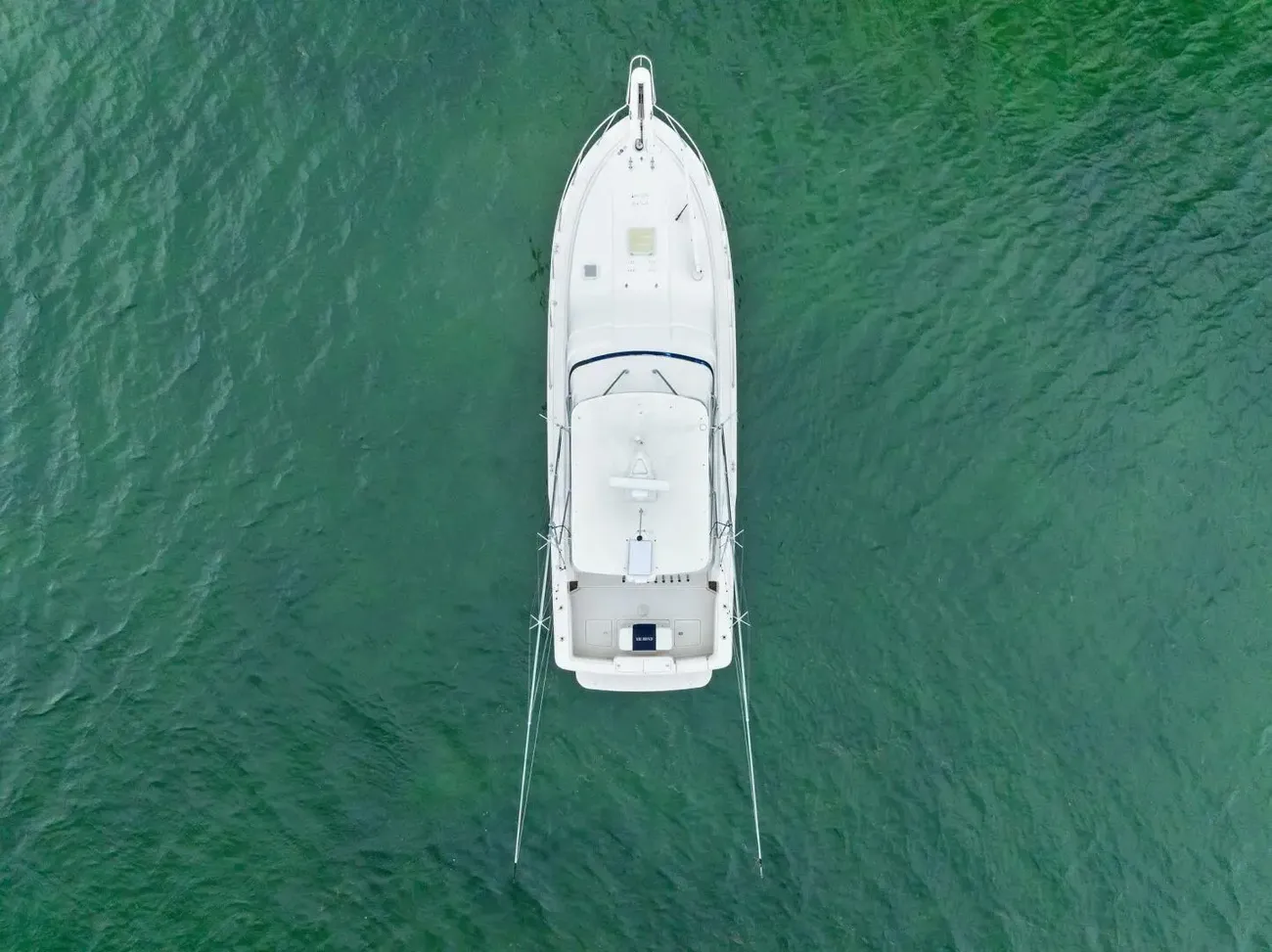 Thumbnail von Bertram 39 Convertible Mr. Bond