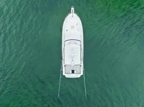 Thumbnail von Bertram 39 Convertible Mr. Bond