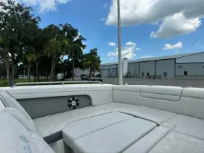 Thumbnail von Sea Ray SDX 290 Fuoribordo