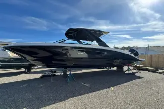 Thumbnail von Sea Ray SDX 290 fuera de borda