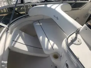 Thumbnail von Sea Ray 450 Express Bridge