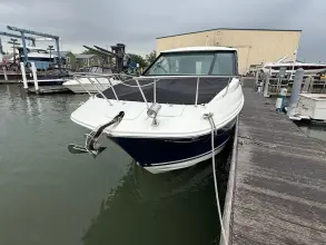 Thumbnail von Sea Ray 320 Sundancer fuera de borda