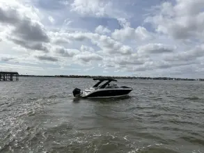 Thumbnail von Sea Ray Sundancer 270