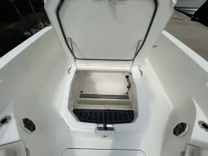 Thumbnail von Boston Whaler 280 Dauntless