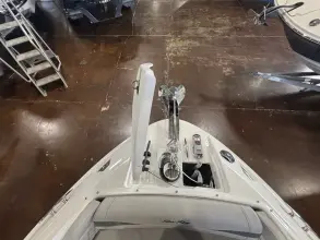 Thumbnail von Sea Ray 260 SLX-OB
