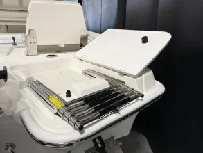 Thumbnail von Boston Whaler 250 Dauntless