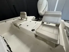 Thumbnail von Boston Whaler 250 Dauntless