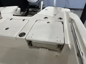 Thumbnail von Boston Whaler 250 Dauntless
