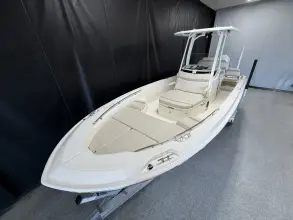 Thumbnail von Boston Whaler 250 Dauntless