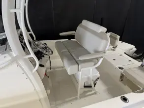 Thumbnail von Boston Whaler 250 Dauntless