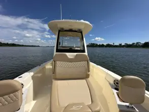 Thumbnail von Scout 261 XSS