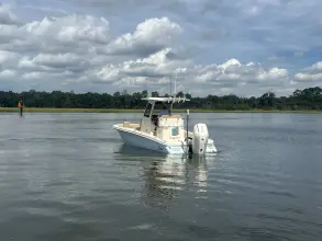 Thumbnail von Scout 261 XSS