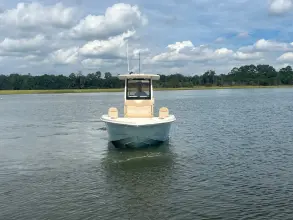 Thumbnail von Scout 261 XSS