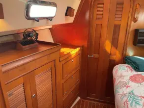 Thumbnail von Island Packet 40 Dream Flower