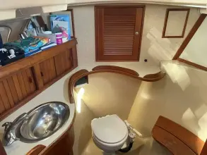 Thumbnail von Island Packet 40 Dream Flower