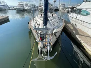 Thumbnail von Island Packet 40 Dream Flower