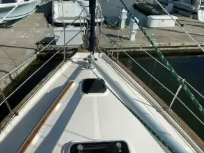 Thumbnail von Island Packet 40 Dream Flower