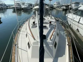 Thumbnail von Island Packet 40 Dream Flower