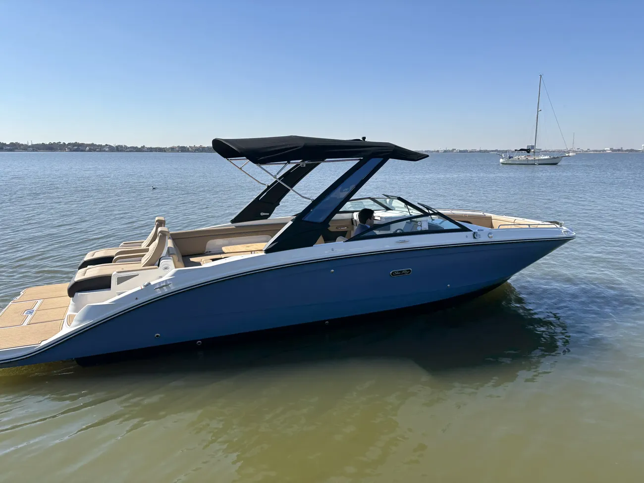 Sea Ray SDX 290