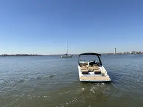 Thumbnail von Sea Ray SDX 290