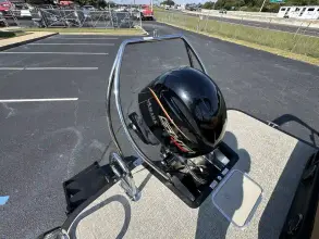 Thumbnail von Bennington Fishtoon 22S