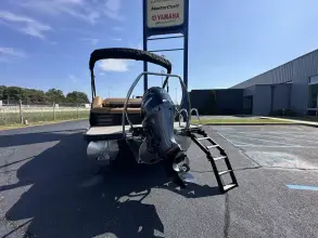 Thumbnail von Bennington Fishtoon 22S