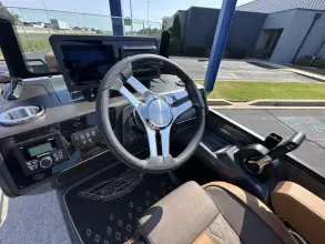 Thumbnail von Bennington Fishtoon 22S