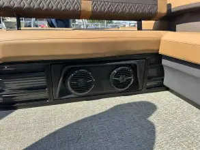 Thumbnail von Bennington Fishtoon 22S