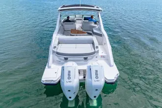 Thumbnail von シー レイ SLX 310 アウトボード