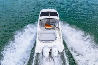 Thumbnail von シー レイ SLX 310 アウトボード