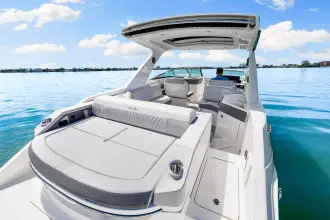 Thumbnail von シー レイ SLX 310 アウトボード