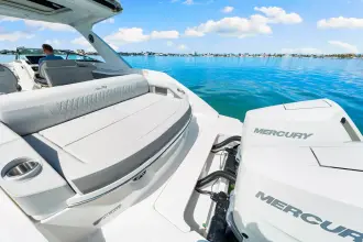 Thumbnail von シー レイ SLX 310 アウトボード