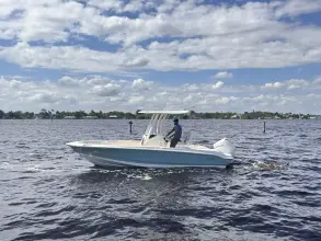 Thumbnail von Boston Whaler 220 Dauntless
