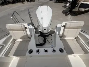 Thumbnail von Boston Whaler 220 Dauntless