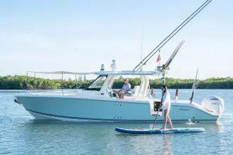 Thumbnail von Pursuit S 328